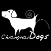Chiangmai logo design