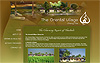 chiangmai web design by 777designz .com