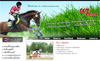 chiangmai web design by 777designz .com