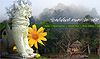 chiangmai web design by 777designz .com